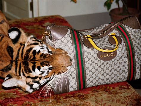 czy gucci i guess to to samo|Gucci and Guess Make Peace After Nearly a Decade at War, .